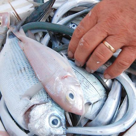 Διαμέρισμα 45 τ.μ. με 1 υπνοδωμάτιο και 1 ιδιωτικό μπάνιο σε Izola Εξωτερικό φωτογραφία