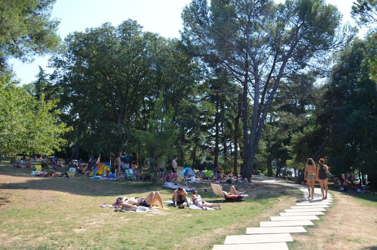 Διαμέρισμα 45 τ.μ. με 1 υπνοδωμάτιο και 1 ιδιωτικό μπάνιο σε Izola Εξωτερικό φωτογραφία